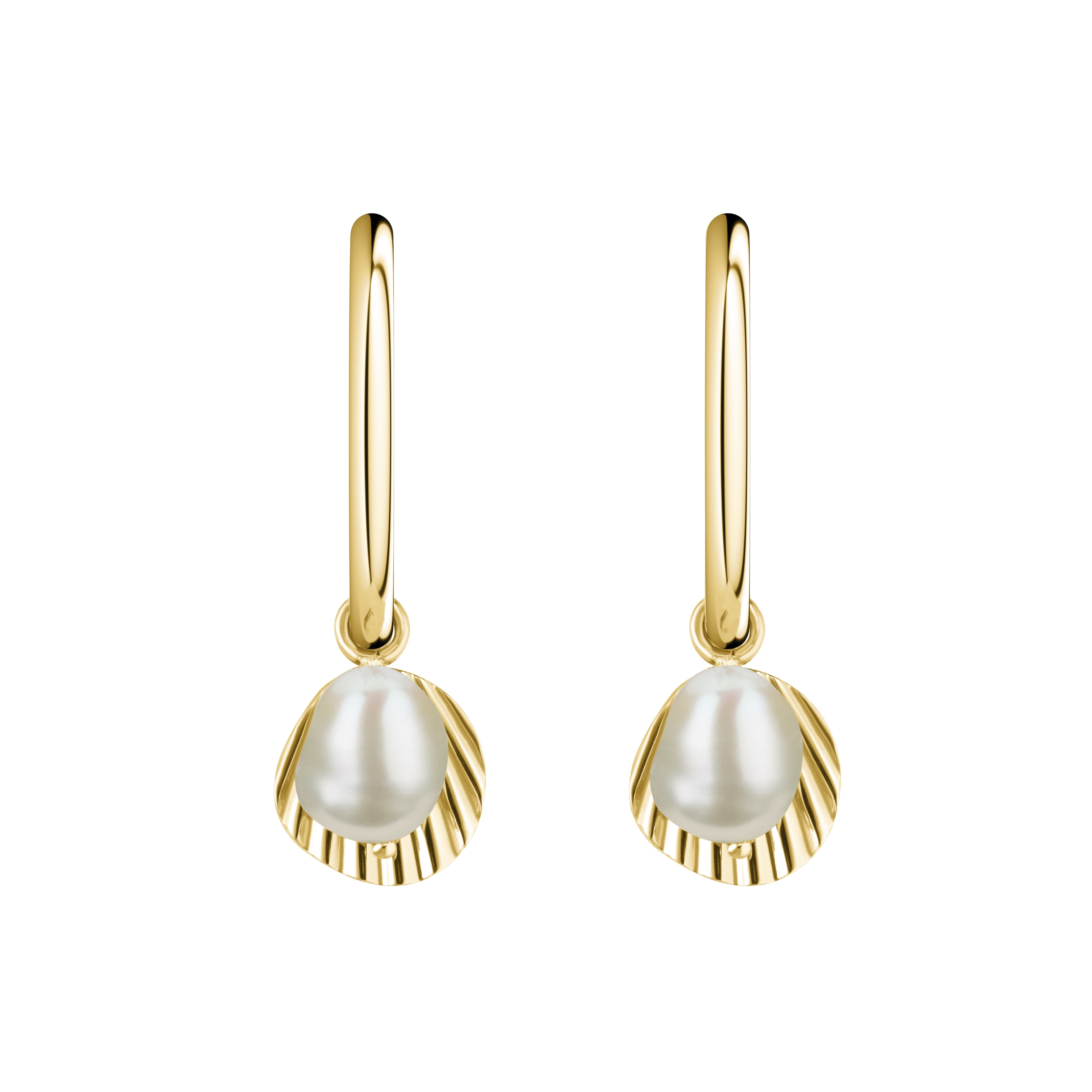 Rosefield Shell & Pearl Drop Earring - Gold