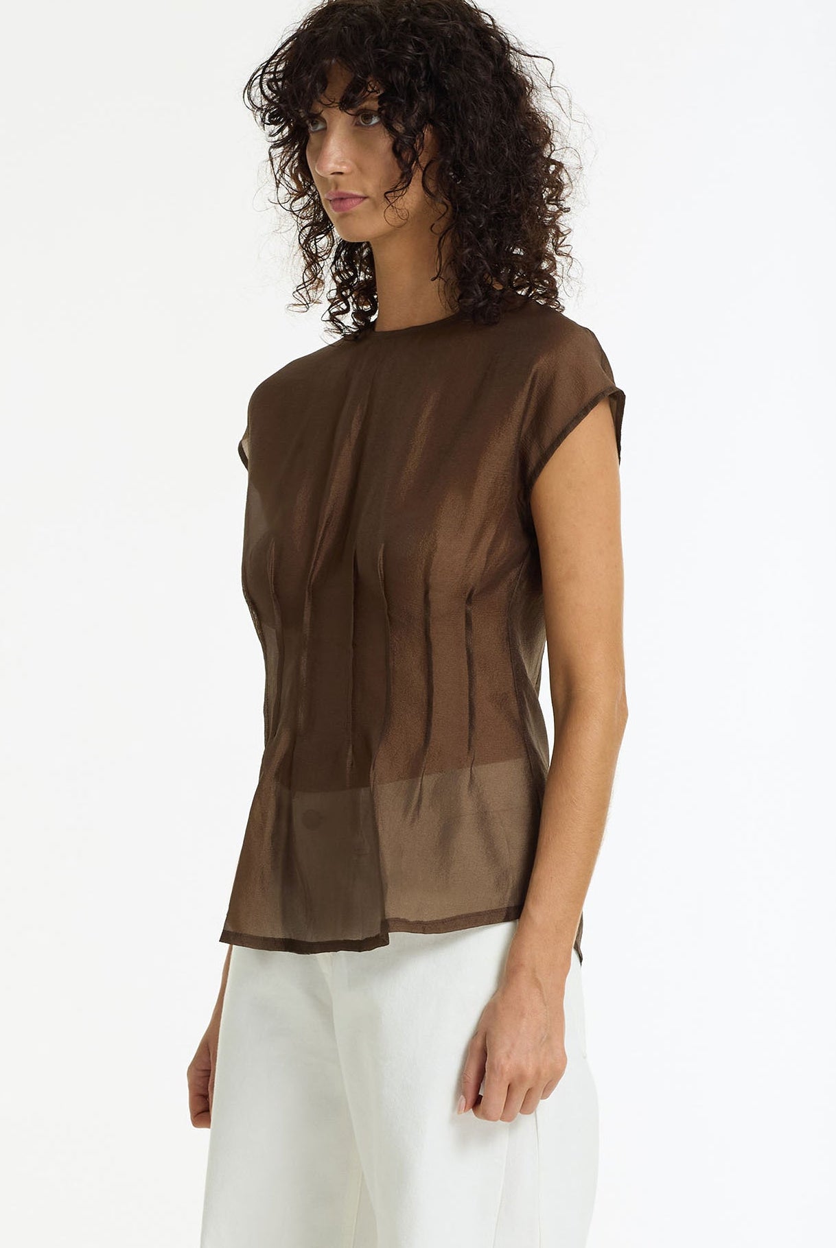 Refined Romance Sheer Pintuck Top | Chocolate | PRE-ORDER