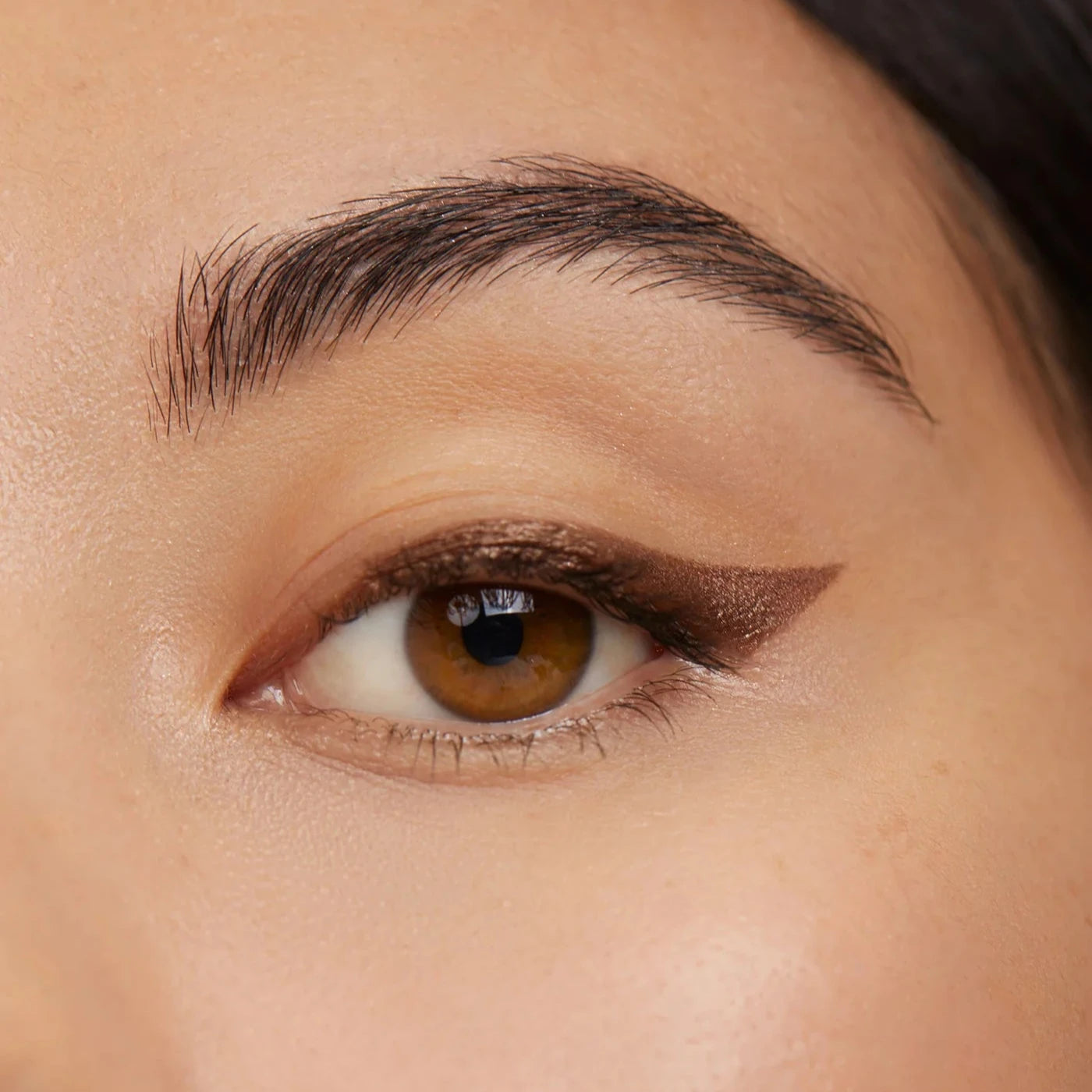 Aleph Hybrid Eye Pigment / Meteorite