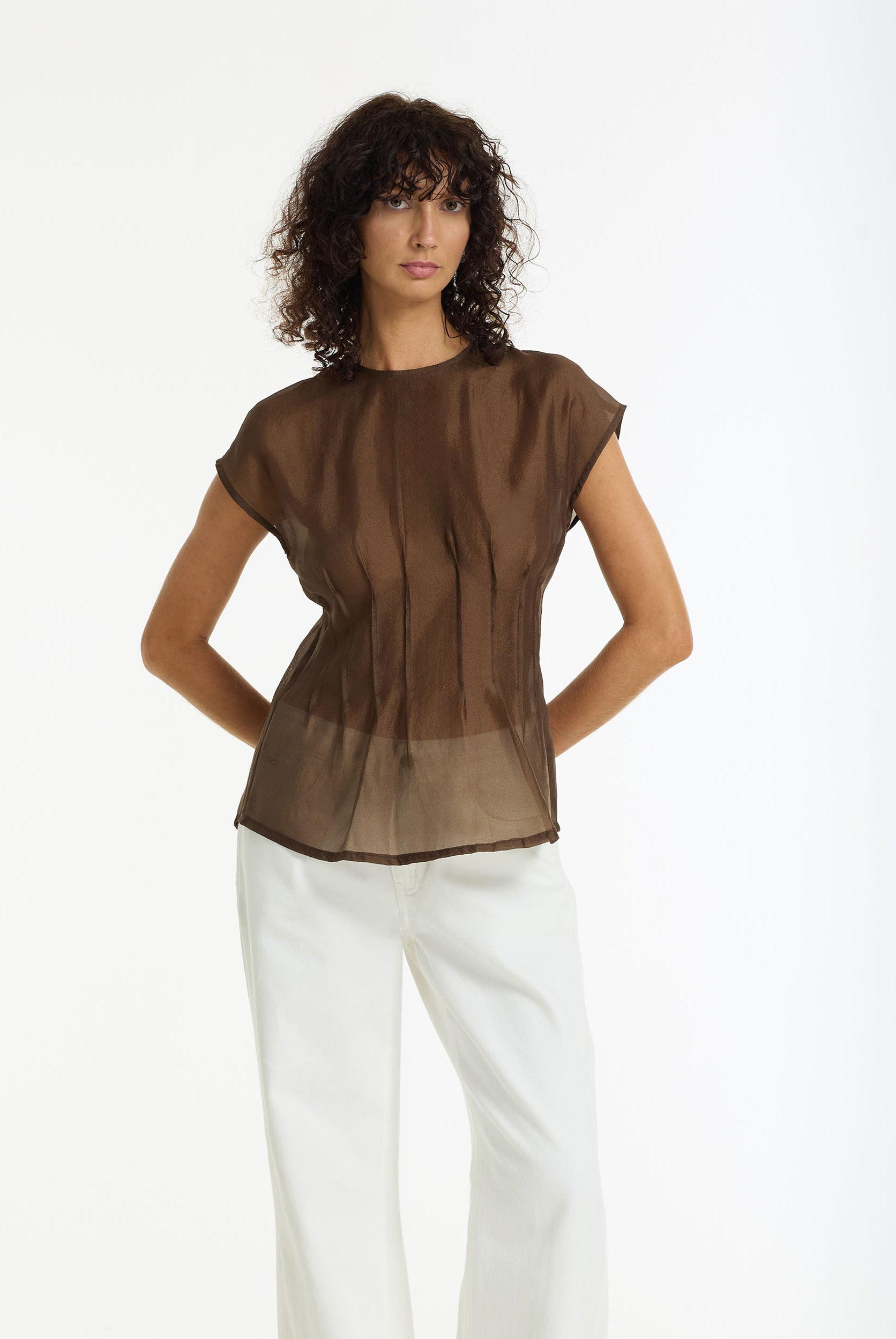 Refined Romance Sheer Pintuck Top | Chocolate | PRE-ORDER