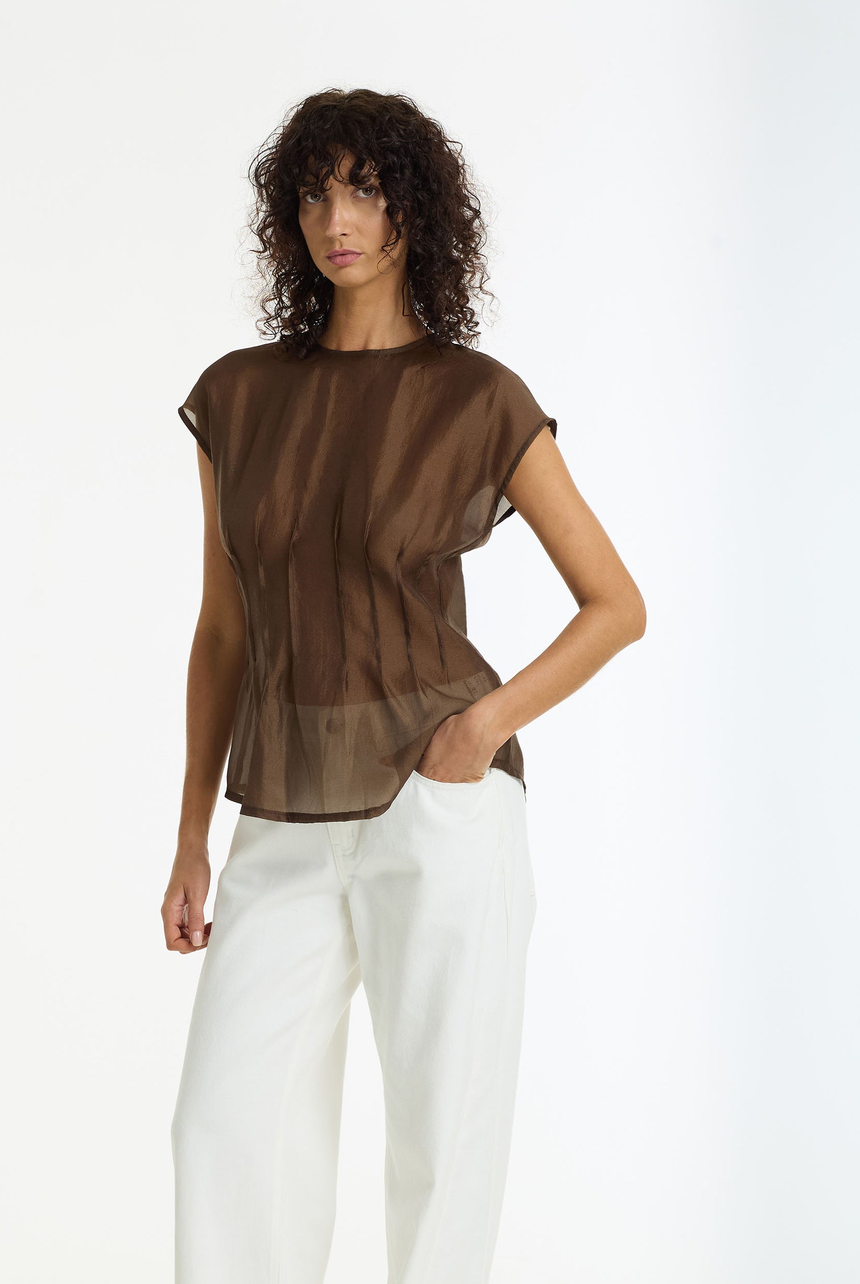 Refined Romance Sheer Pintuck Top | Chocolate | PRE-ORDER